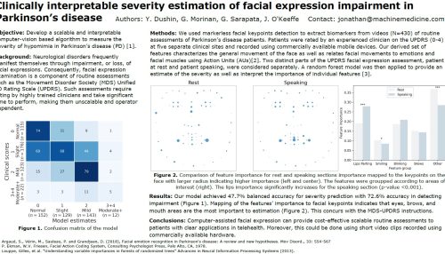 A Clinically Interpretable Severity Estimation of Facial Expression Impairment in Parkinson's Disease